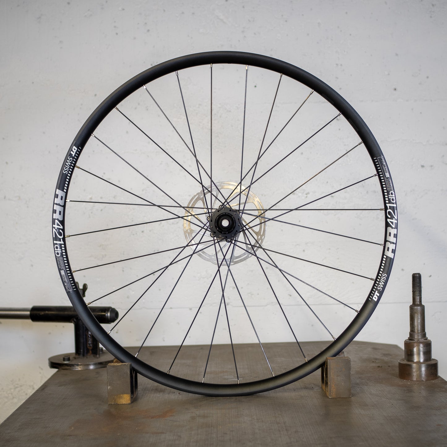 Roues route Alpin Plume - frein à disque