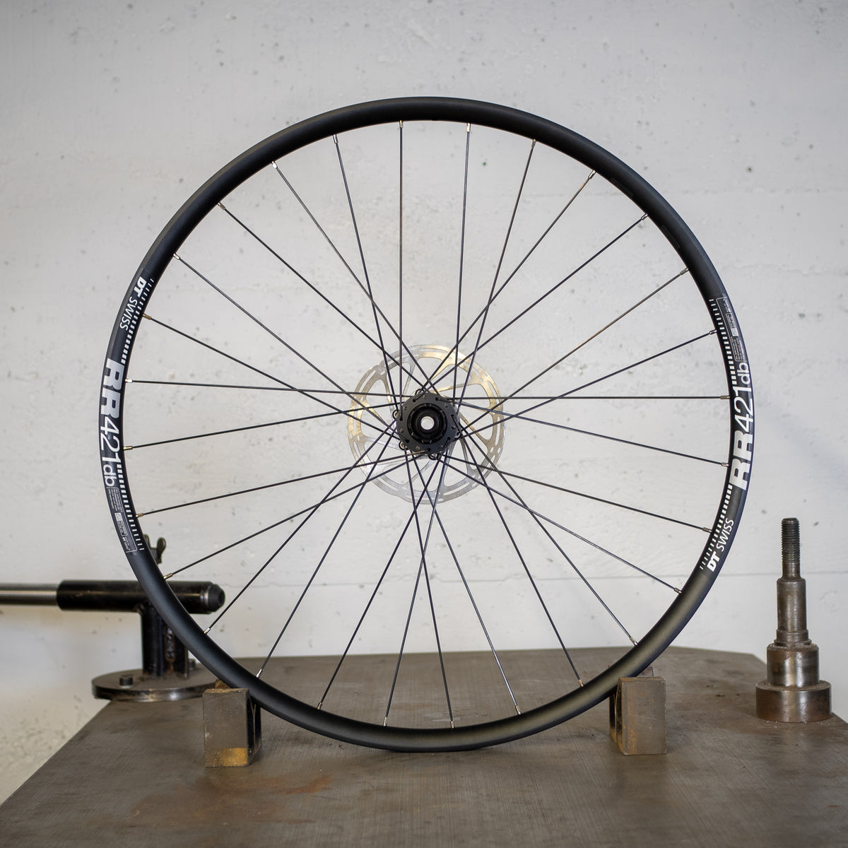Roues route Alpin Plume - frein à disque